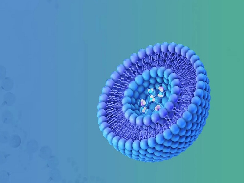 أعلى 10 مصنعي الدهون في الهند