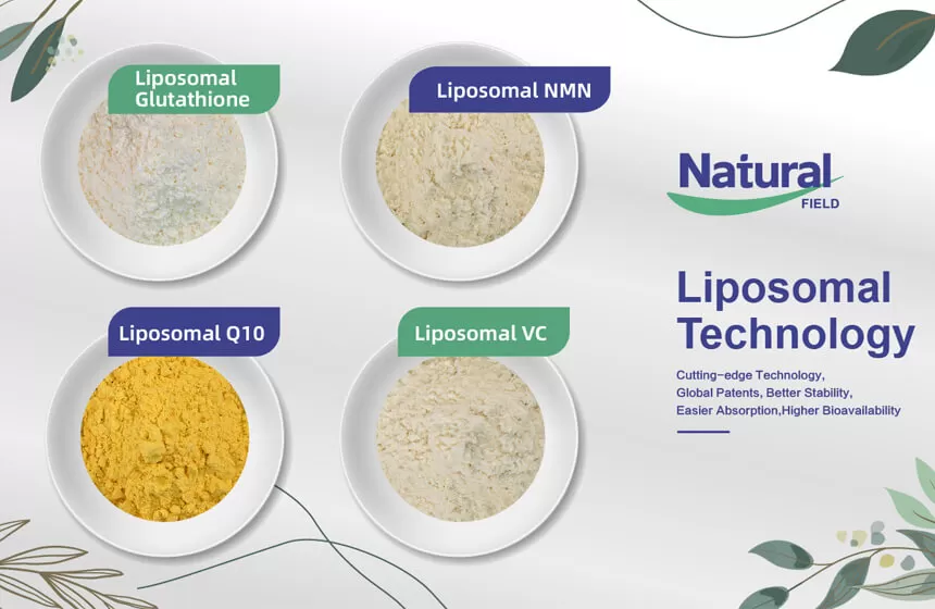لماذا تختار المجال الطبيعي كمصنع مسحوق NMN Liposomal ؟