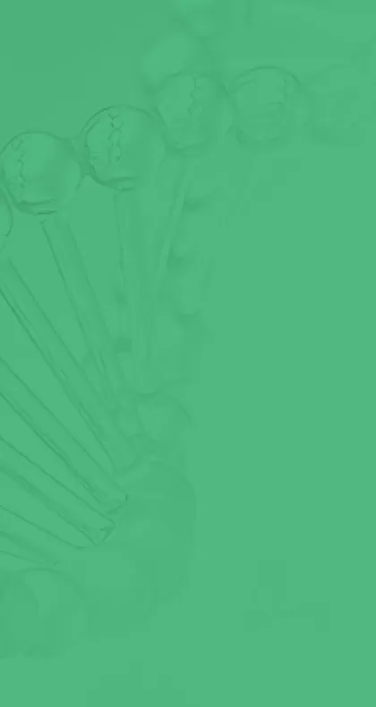 ثقافة الشركة