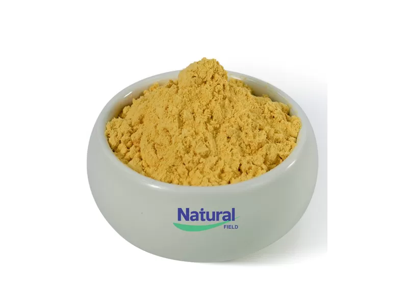 china coenzyme q10 pure powder manufacturers
