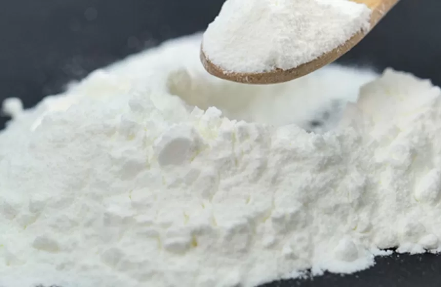 آليات عمل مسحوق البروبيوتيك