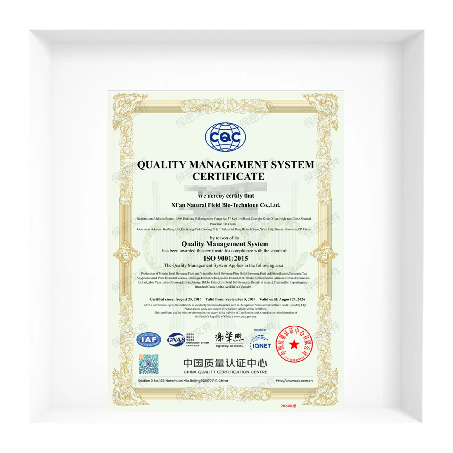 ISO9001