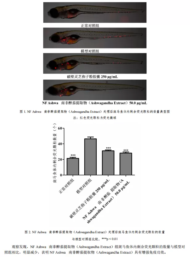 ashwagandha test report