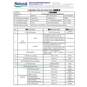 NF-COA- GA35-Y-260601X - كرياتين أحادي الهيدرات (مسحوق دقيق)