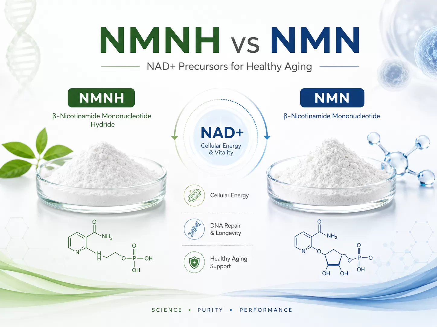 NMNH مقابل NMN