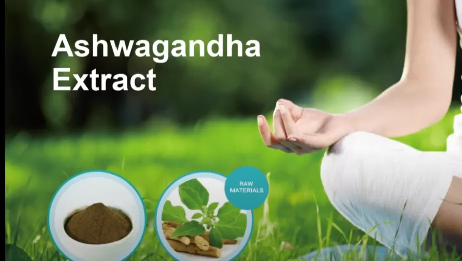 خلاصة اشواغاندا