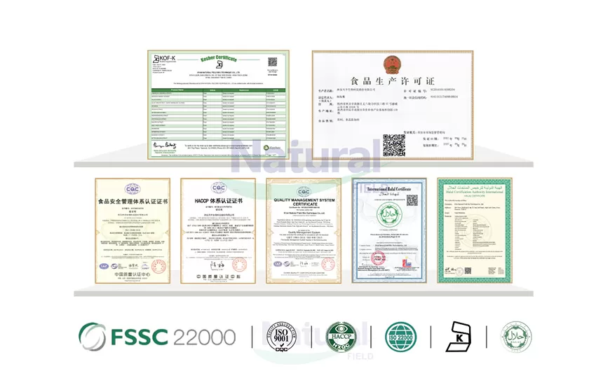 مزايا الكركمين الشحومي