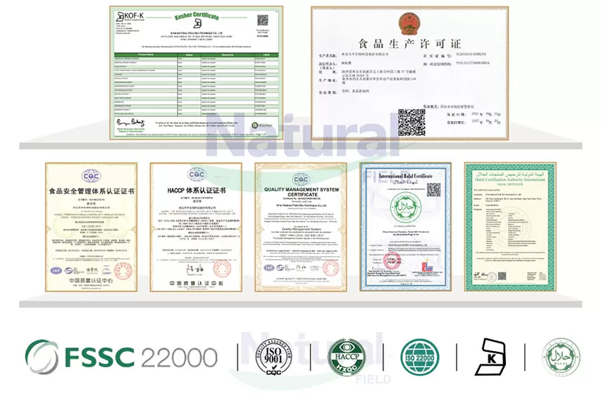 لماذا تختار المجال الطبيعي كمورد مسحوق أحادي الكرياتين ؟