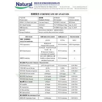 خلاصة الكركم