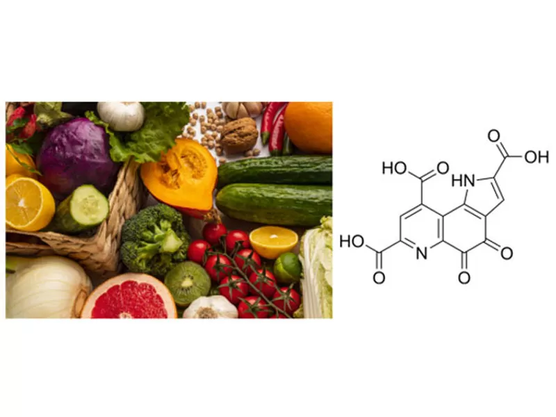تأييد مجلة مزدوجة الأعلى! PQQ معترف بها باعتبارها المعرفية لمكافحة الشيخوخة
