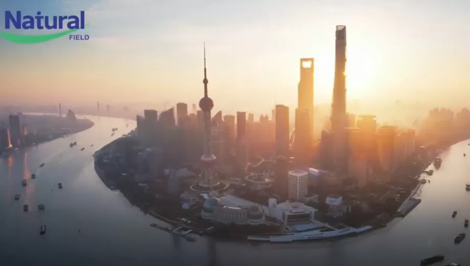 شكر كبير لجميع الذين صنعوا CPHI China لا يُنسى. نراكم في العام المقبل-أكبر وأفضل