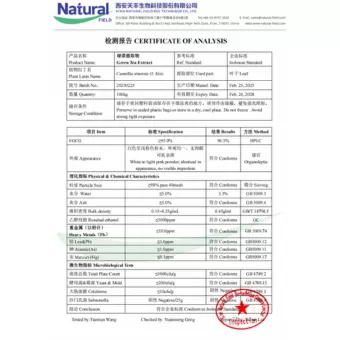 NF-COA مستخلص الشاي الأخضر (EGCG)