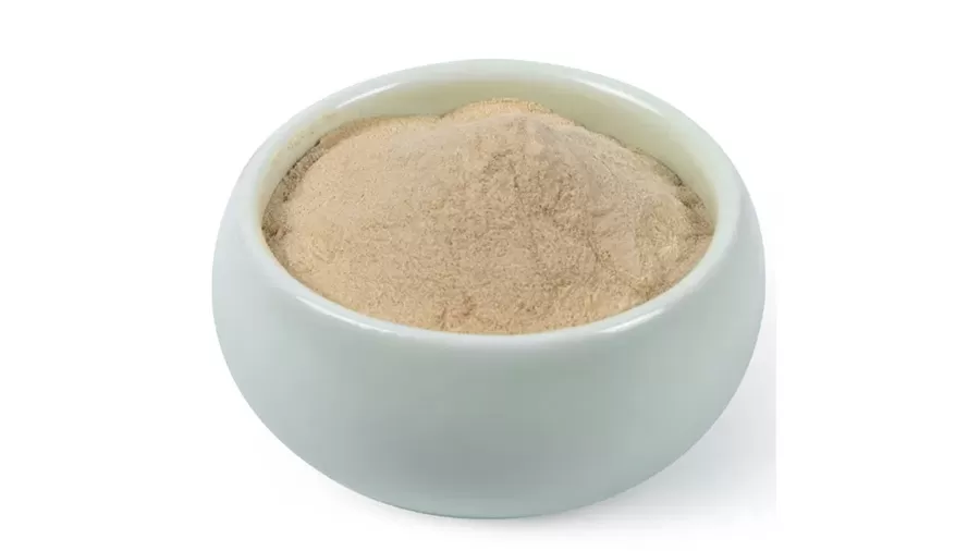 تطور تكنولوجيا استخراج اشواغاندا: من النقع التقليدي إلى اختراق اشواغاندا الفورية المستقطعة من NF اشواغاندا