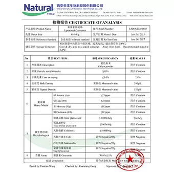 كوركومين الشححي