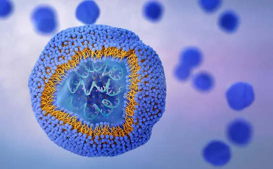 أفضل 10 شركات مصنعة للتشذيبات الدهنية في المملكة المتحدة