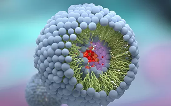 أعلى 10 مصنعي الدهون في الولايات المتحدة الأمريكية