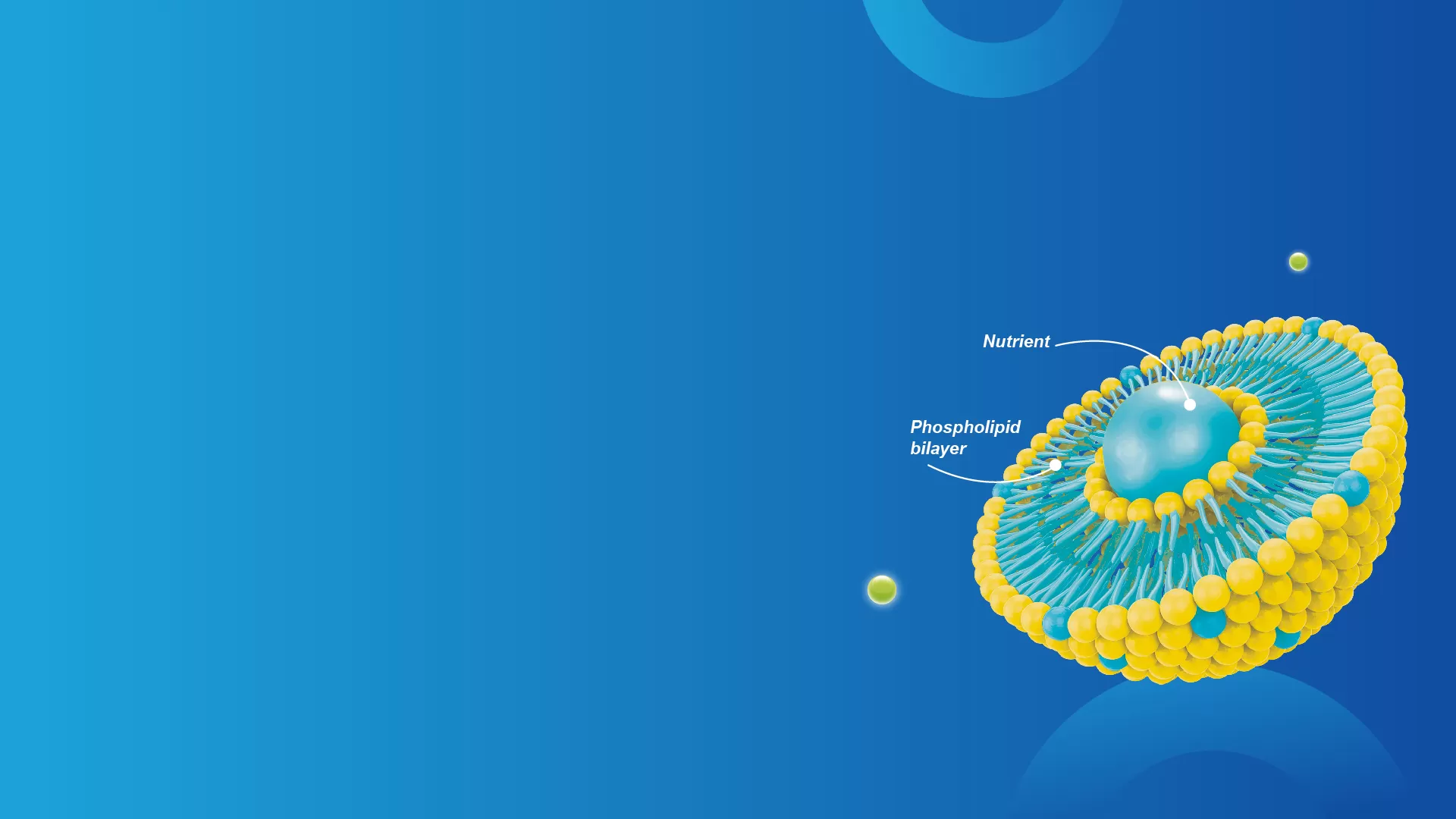 تكنولوجيا الحويصلية