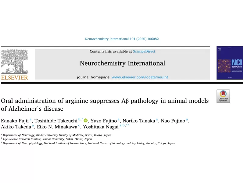 هل تبحث عن مكونات آمنة وفعالة لصحة الدماغ ؟ أرجينين: مدعوم بالعلم ، وفعال من حيث التكلفة ، حل نقاط الألم في منتجك الأساسي!