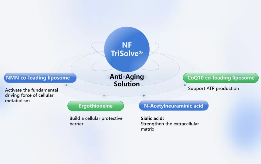 NF Trisolve® محلول مضاد للشيخوخة