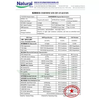 خلاصة لحاء البيجيوم