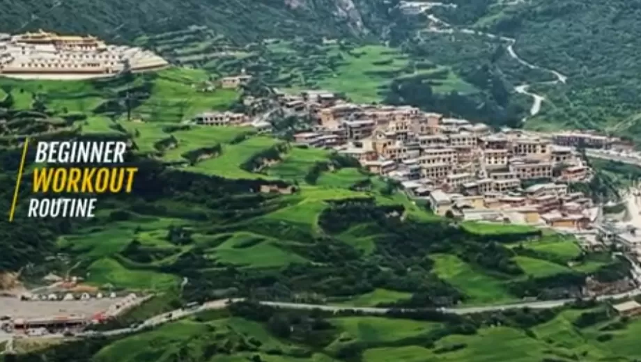 أسرار لتعزيز التعاون بين الشركات