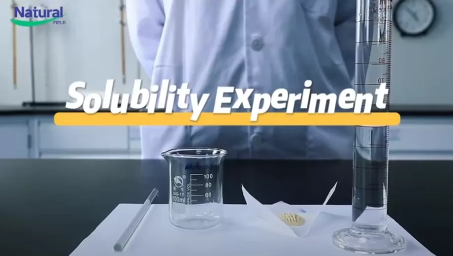 تجربة الذوبان من NF اشواغاندا استخراج مسحوق