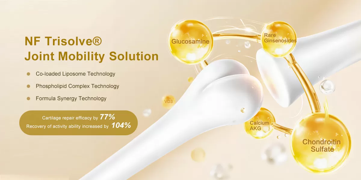 the-rise-of-multi-target-joint-mobility-solutions.jpg