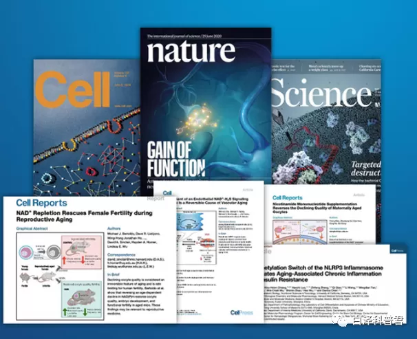 what-is-nad-that-scientists-have-studied-for-100-years 03.png